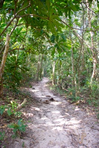 One of the trails across the centre of the island. This one leads from Saracen Bay to Lazy Beach.